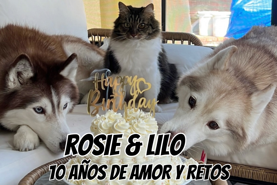 Rosie & Lilo una historia de amistad de años